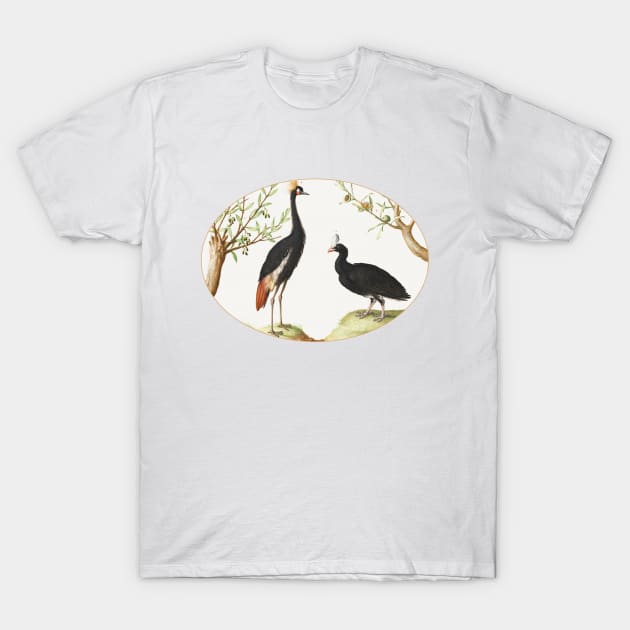 Gray Crowned Crane and Helmeted Currasow (1575–1580) T-Shirt by WAITE-SMITH VINTAGE ART